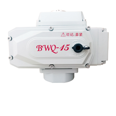BWQ-15电动执行器